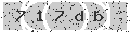 verify code