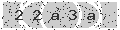verify code