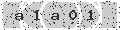 verify code