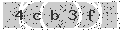 verify code