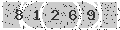 verify code