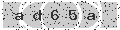 verify code