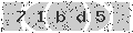 verify code
