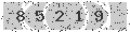 verify code
