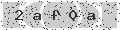 verify code