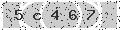 verify code