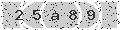 verify code