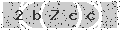 verify code