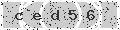 verify code